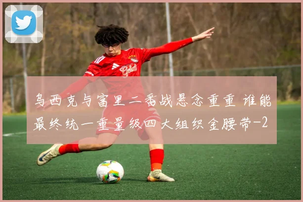 乌西克与富里二番战悬念重重 谁能最终统一重量级四大组织金腰带
