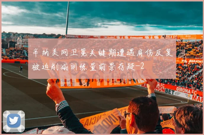 辛纳美网卫冕关键期遭遇肩伤反复被迫削减训练量前景存疑